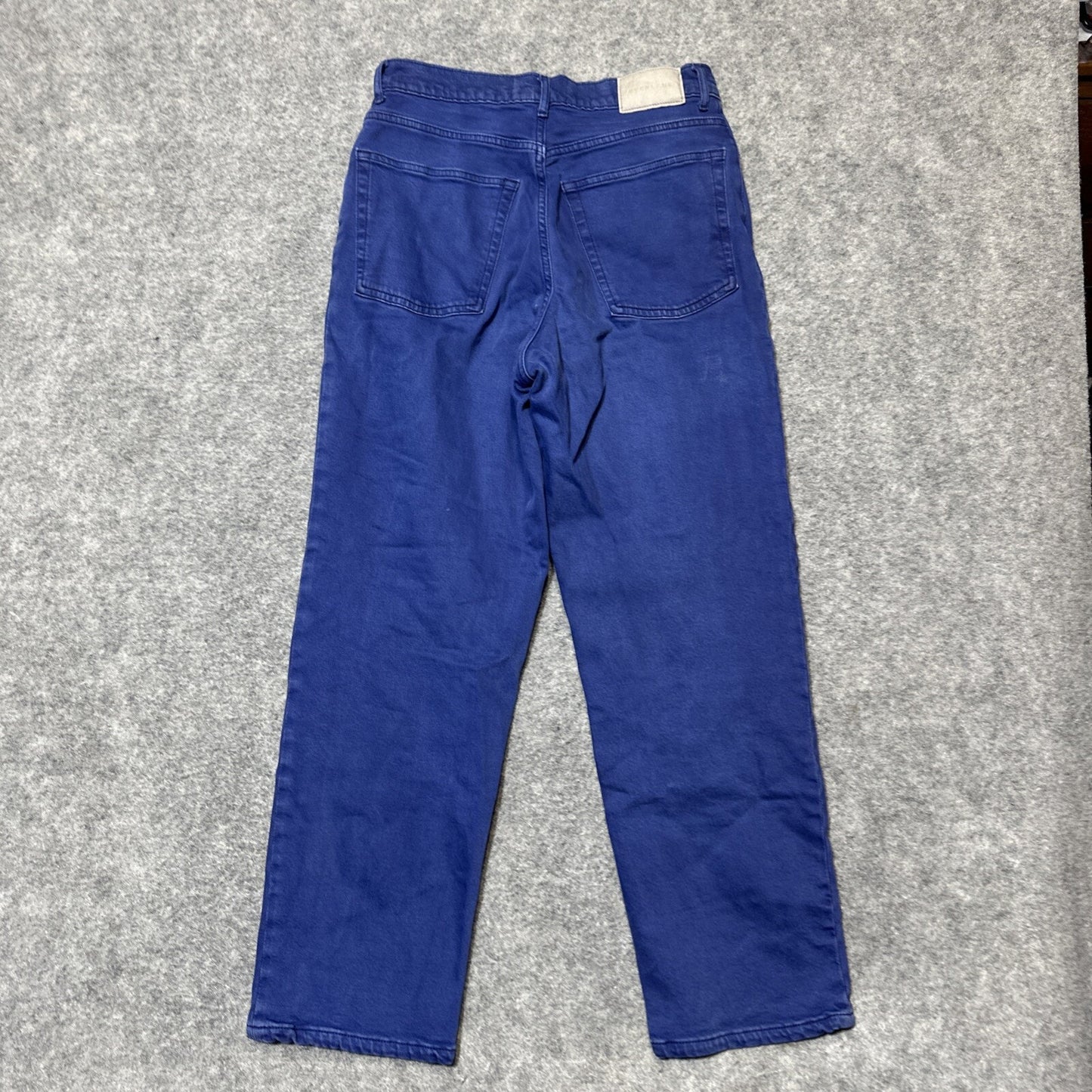 Everlane The Way High Jean Straight Jeans Women's Size 28R Purple Denim